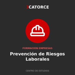 Prevención de Riesgos Laborales · Nivel Básico